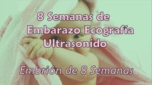 Semana 8 de Embarazo - Desarrollo del bebe - Ecografía 8 Semanas de Gestación
