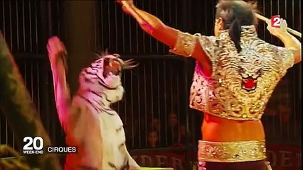 La France vers l'interdiction des cirques avec des animaux sauvages
