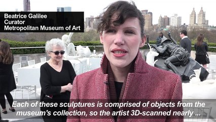 NY's Met Gallery unveils annual rooftop installation