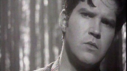 Lloyd Cole - Morning Is Broken