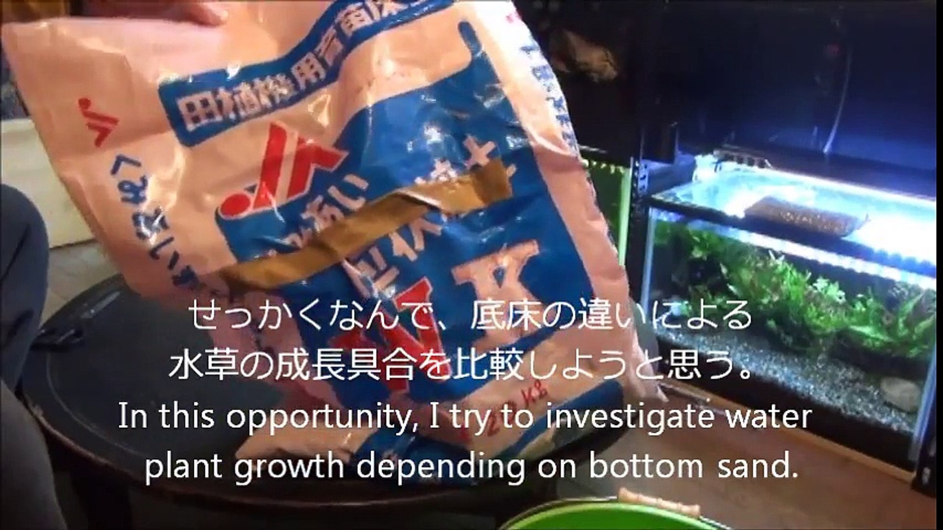 水槽68 底床4種 水草7種 成長比較part1 もりぞう 7 Plants Growth On 4 Different Sands Video Dailymotion