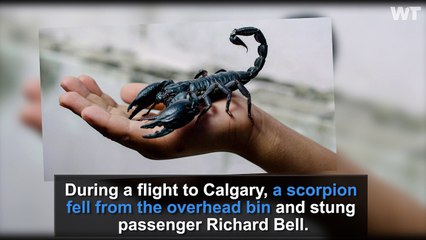 SCORPION Attacks United Passenger