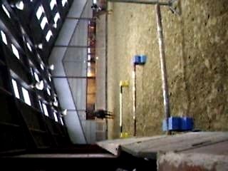 saut d'obstacle cheval
