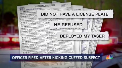 Georgia Officer Fired After Kicking Handcuffed Suspect in the Head