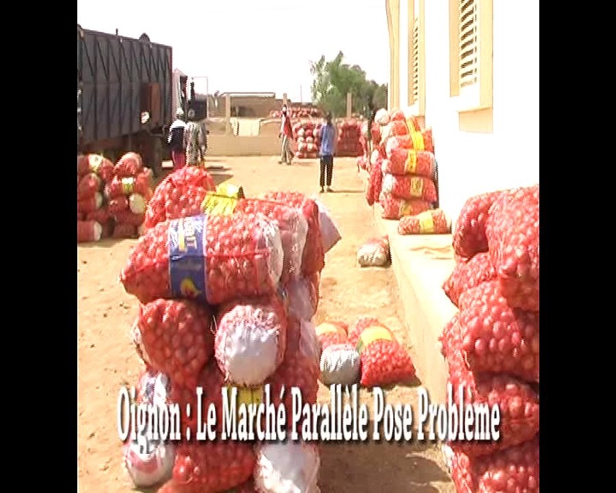 Oignon - Le Marché Parallèle Pose Problème