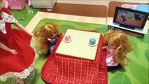 リカちゃん ミキちゃんとマキちゃんとコタツで遊んだよ ❤ トイキッズ おもちゃ アニメ キッズ ごっこ 人形遊び 子供向け Toy
