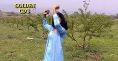 Pashto New Songs 2017 Shaheen Shah Bacha - Zama Qedi Janan