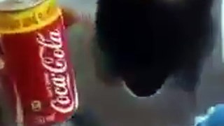 coco cola live experiment