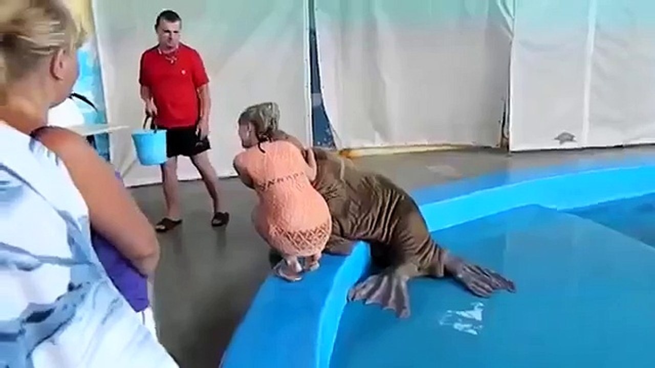Walrus Fallen in Love With Girl  - Awesome and Funny !