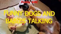 Funny dogs and babies talking Cute dog & baby compilation funny pets