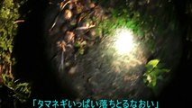 カブトムシ捕ってきた！※マムシ出現【38本目】