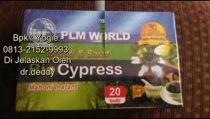 0813-2152-9993 (Bpk Yogie), Agen BioCypress Bandung, Stokis BioCypress Bandung, BioCypress Jawa Barat