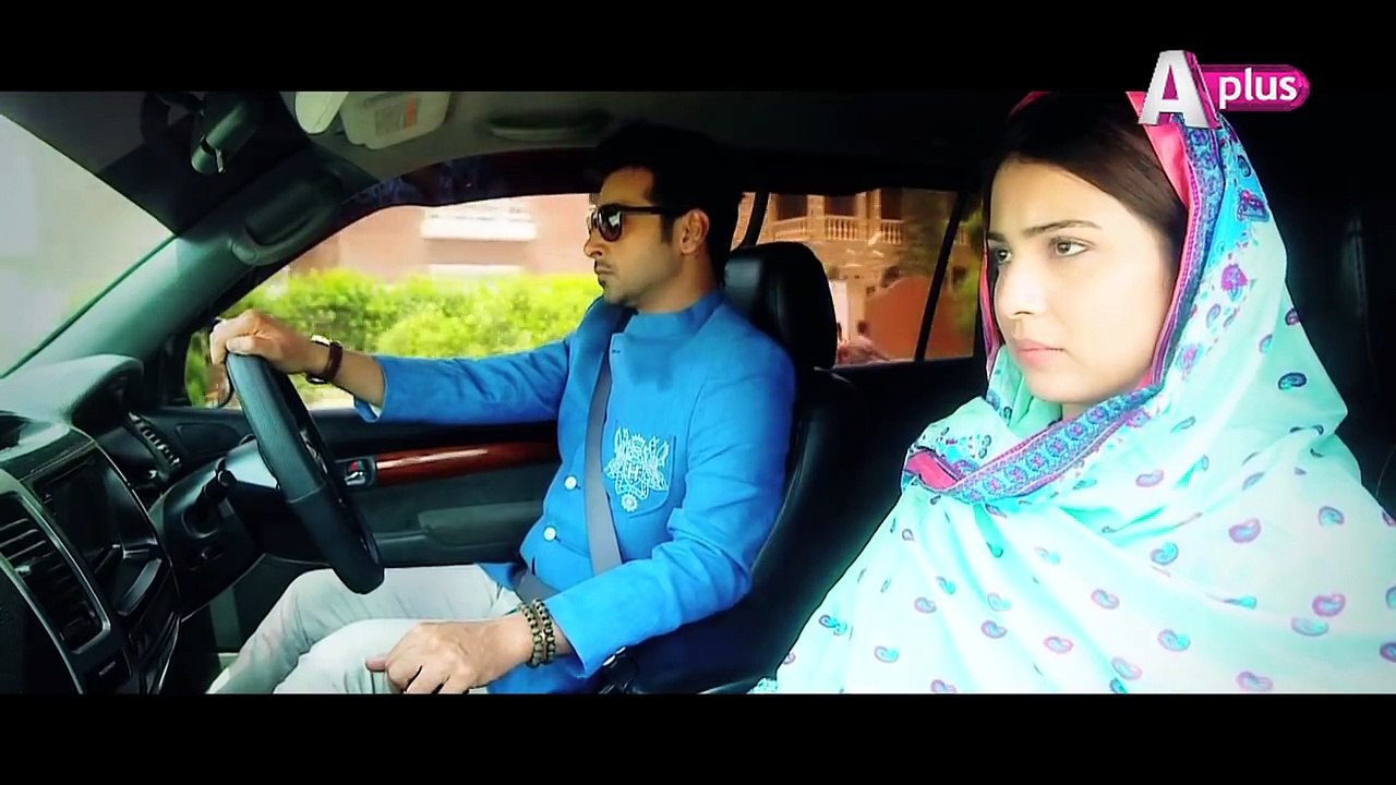 Bheegi Palkein promo
