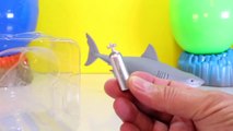 JAWS Shark Toy   BONUS Surprise Shark Eggs filled with Sharks, Toys   Sea Animals-MK75e1cCJJY