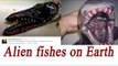 Russian fisherman catches 'Alien' like fishes, Images go viral | Oneindia News