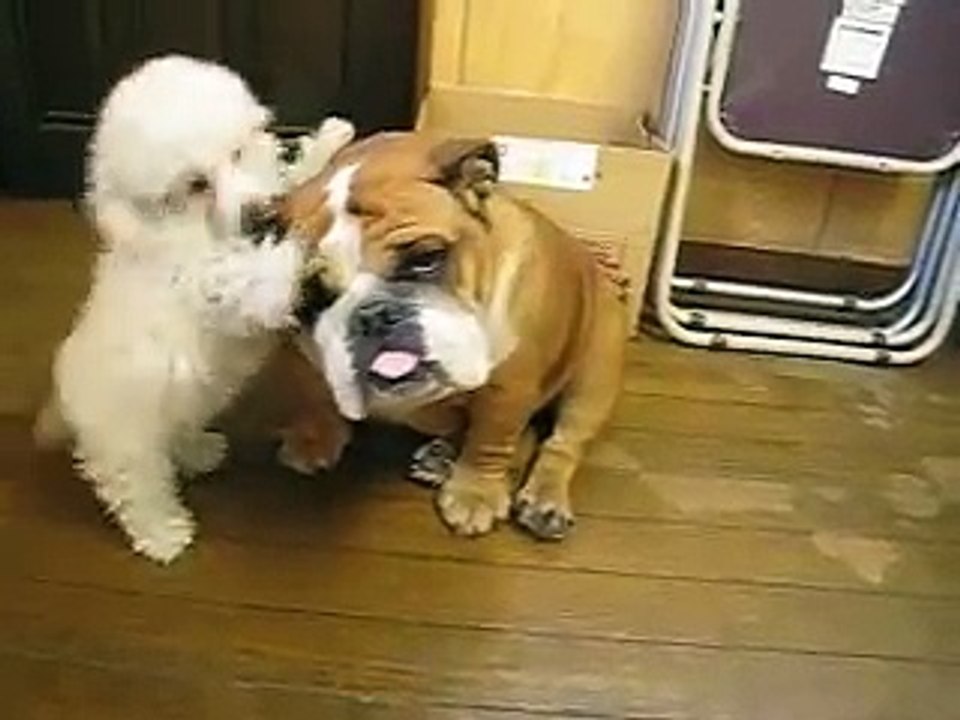 荒谷竜太ぶるぶるる (2)