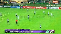 Nacional 0-2 Botafogo · Copa Libertadores 2017 (grupo 1, fecha 2)
