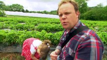 Something Special - S6E12. Strawberry Picking