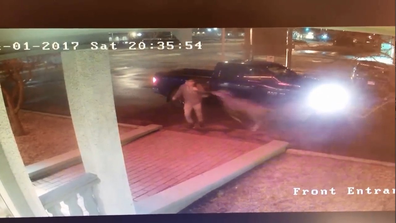 Un rappeur se fait percuter violemment par une biche.