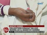 24 Oras: Dalagitang kinagat ng aso noong 2014, namatay kanina