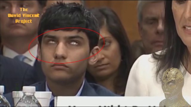 Des REPTILIENS ont été filmés par les caméras en DIRECT A LA TÉLÉ ! (HD720)