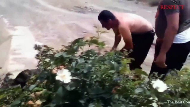 Real Life Heroes Animals Rescue Most Watched Compilation 2017 RESPECT