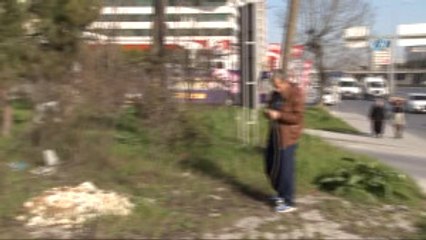 İstanbul'un Göbeğinde Başıboş İnekler...saatlerce Başında Bekledi
