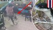Snake attack: internet cafe patrons surprised by snake, all hell breaks loose - TomoNews