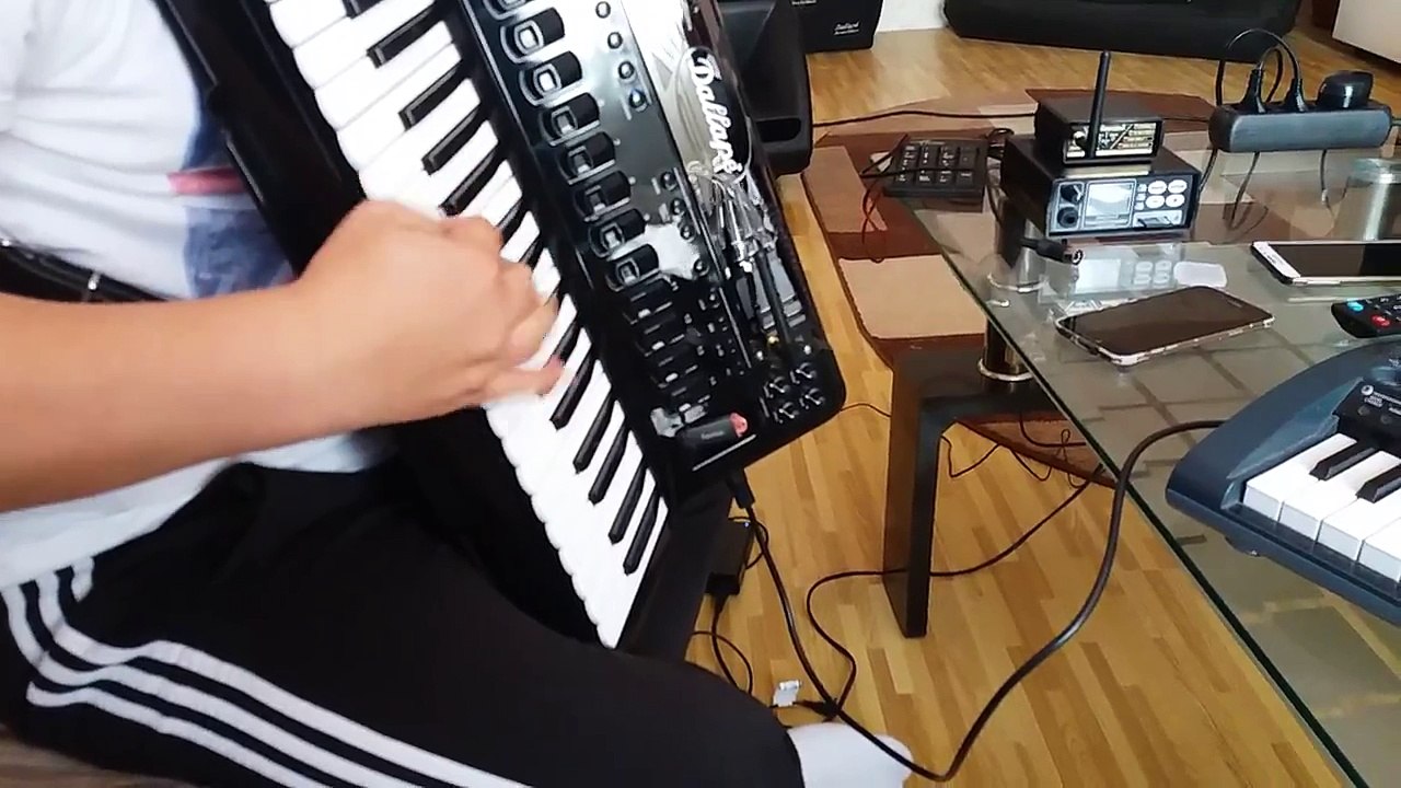 Hohner2017