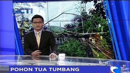 Pohon Tumbang Menimpa Kios dan Motor