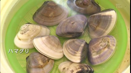 釣り百景　北茨城でのサーフゲーム ショアから狙う高級魚ヒラメ！