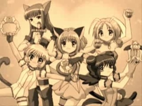 Transformations des mew mew en français (sauf Bridget)