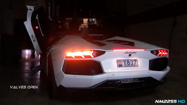 Lamborghini Aventador Roadster Sports Exhaust HUGE REVS!
