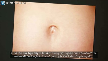 8 secrets nobody has ever told you about navel holes