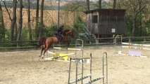 Sexy Boy de Belgy - Obstacle 105-115 cm - 11 avril 2017 - 2