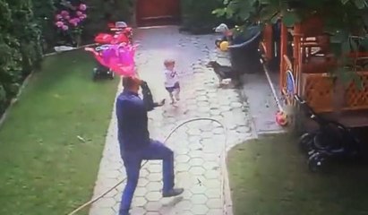 Baba, kızını köpeğin saldırısından kurtardı