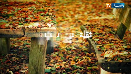 أهمية صلاة الفجر في وقتها