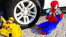 FREAKY JOKER Crushes SpiderBaby Paw Patrol Truck Toy Under Car w/ Spiderman & Hulk Cat in