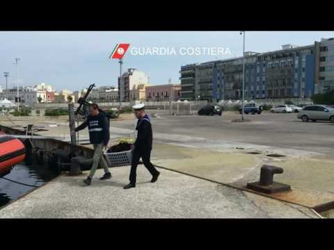 Pizzicato con 400 ricci e 2 chili di ostriche. Nei guai pescatore - Leccenews24