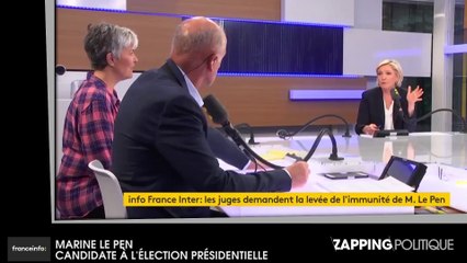 Zap politique 14 avril – Marine Le Pen : la demande de levée de son immunité parlementaire commentée (vidéo)