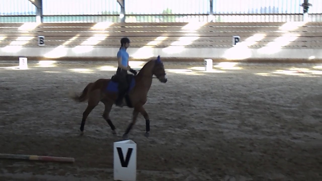 Ody - Dressage: pas d'école, trot passager, piaffer - 9 avril 2017