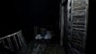 Resident Evil 7 - NEW Gameplay Trailer (Monster & Aunt Rhody)-fi6h3_efKFE