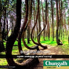 വളയില്ലെന്നാര് പറഞ്ഞു...ഇതാ വളഞ്ഞു #AnweshanamTravel