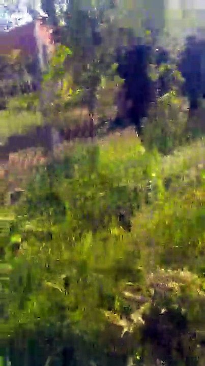 Live - Vijojm mbi Manz, me forcat e Policise se Shtetit gjate kontrollit te territorit me helikopter