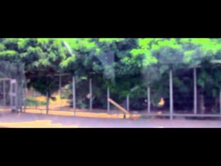 Jorge Gonzalez   Nada es para siempre   Video Lyric Final