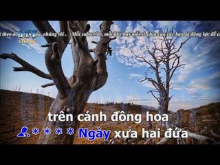 { Karaoke } Cánh Đồng Bồ Công Anh - Đại Nhân ft  Hòa Mi