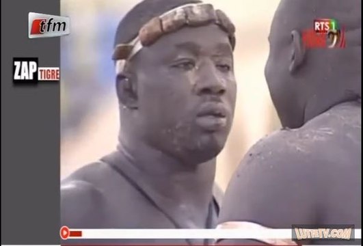 Zapping Œil du tigre avec le bisou de Gris Bordeaux