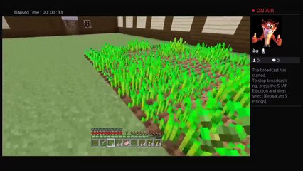 Secrets to minecraft ep2 iron house (22)