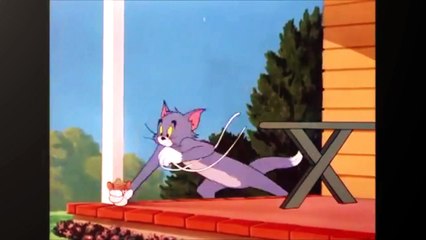 Tom and jerry Fun with 1 Tom & 3 Jerry