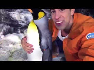 ALEJO IGOA PERONISTA